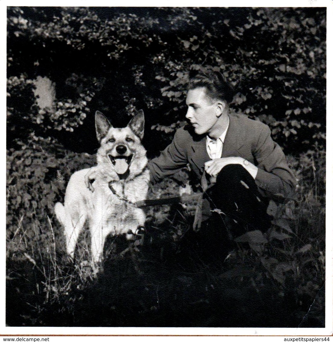 Grande Photo Carrée Originale Gay & Portrait De Charmant Playboyet Son Chien Berger Allemand Vers 1940 - Personnes Anonymes