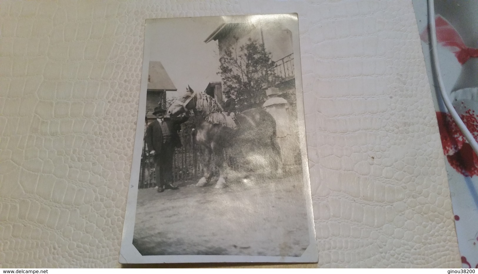 B5/carte Photo - Enfant Sur Un Cheval De Labour - Photos