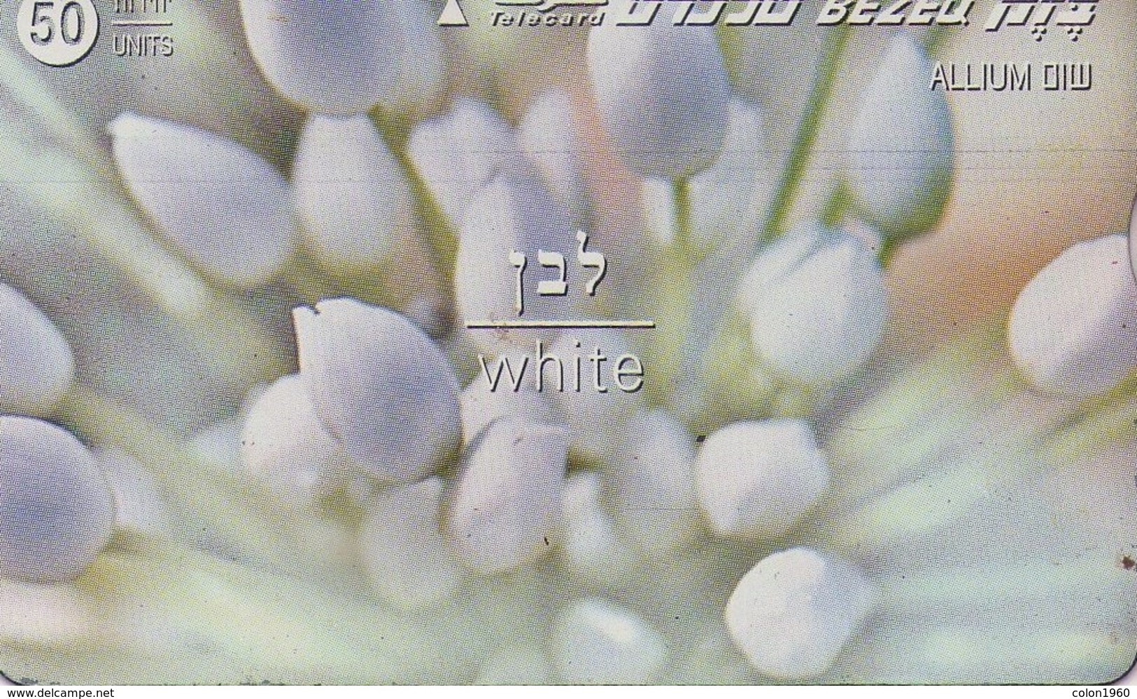 TARJETA TELEFONICA DE ISRAEL. (FLORES - FLOWERS) White, 811E. BZ-212. (073) - Flores