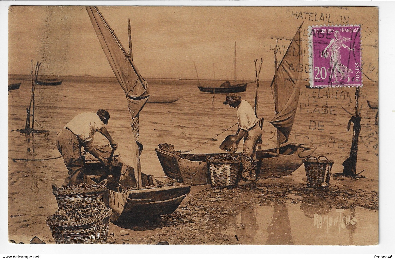 La Côte Charentaise Et Vendéenne- Les Pêcheurs De Moules Arrivant Des Bouchots Déchargent Les "acons"  (Y156) - Pêche