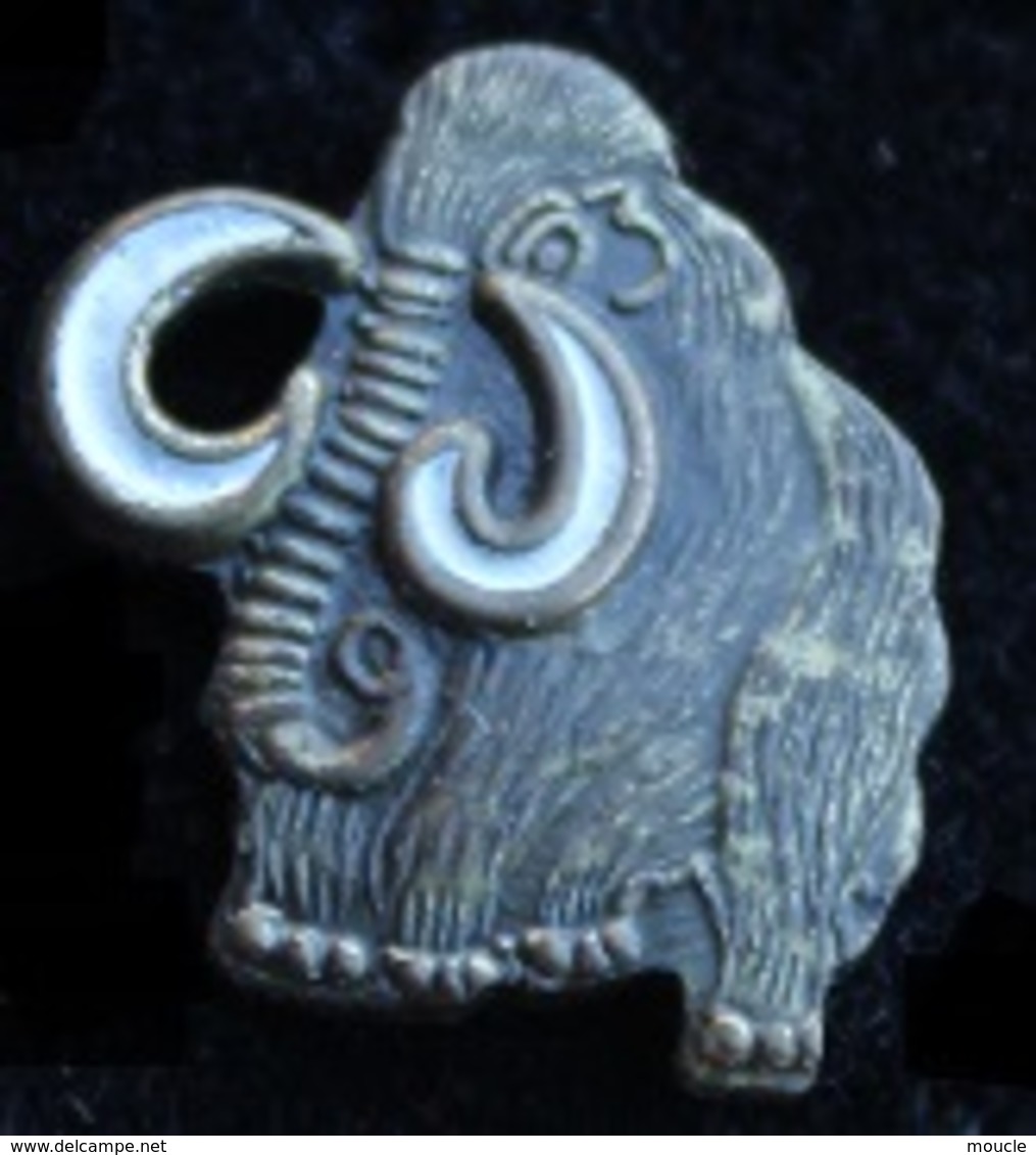 MAMMOUTH - PETIT MODELE - ANCETRE DE L'ELEPHANT - ELEFANT -         (21) - Tiere