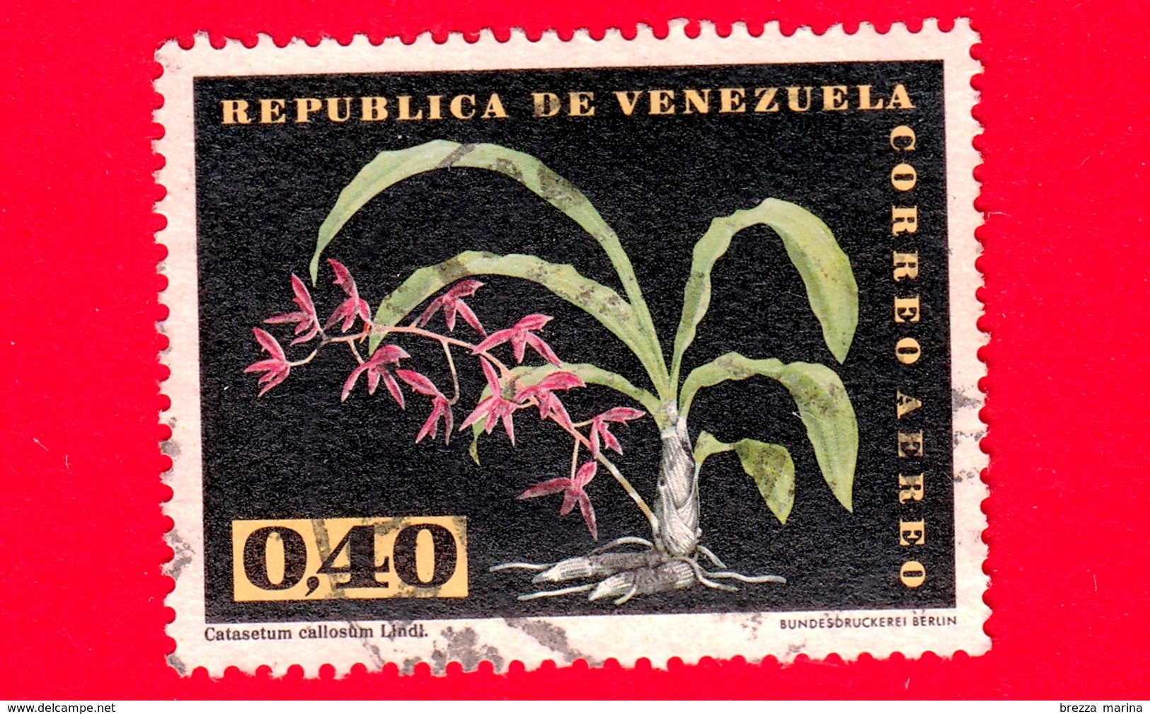 VENEZUELA - Usato - 1962 - Fiori - Orchidee - Catasetum Callosum - 0.40 - P. Aerea - Venezuela