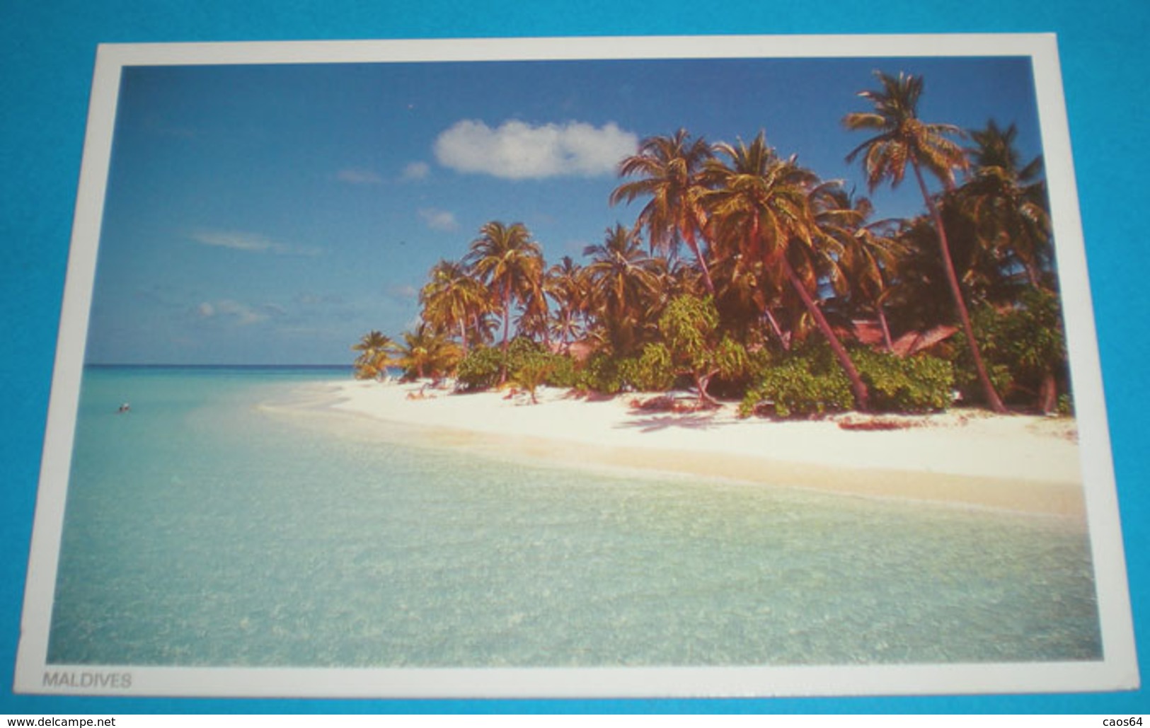 Maldive Cartolina Non Viaggiata - Maldive