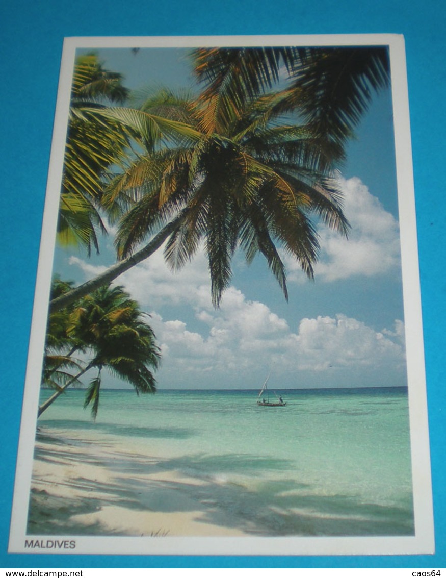 Maldive Cartolina Non Viaggiata - Maldiven