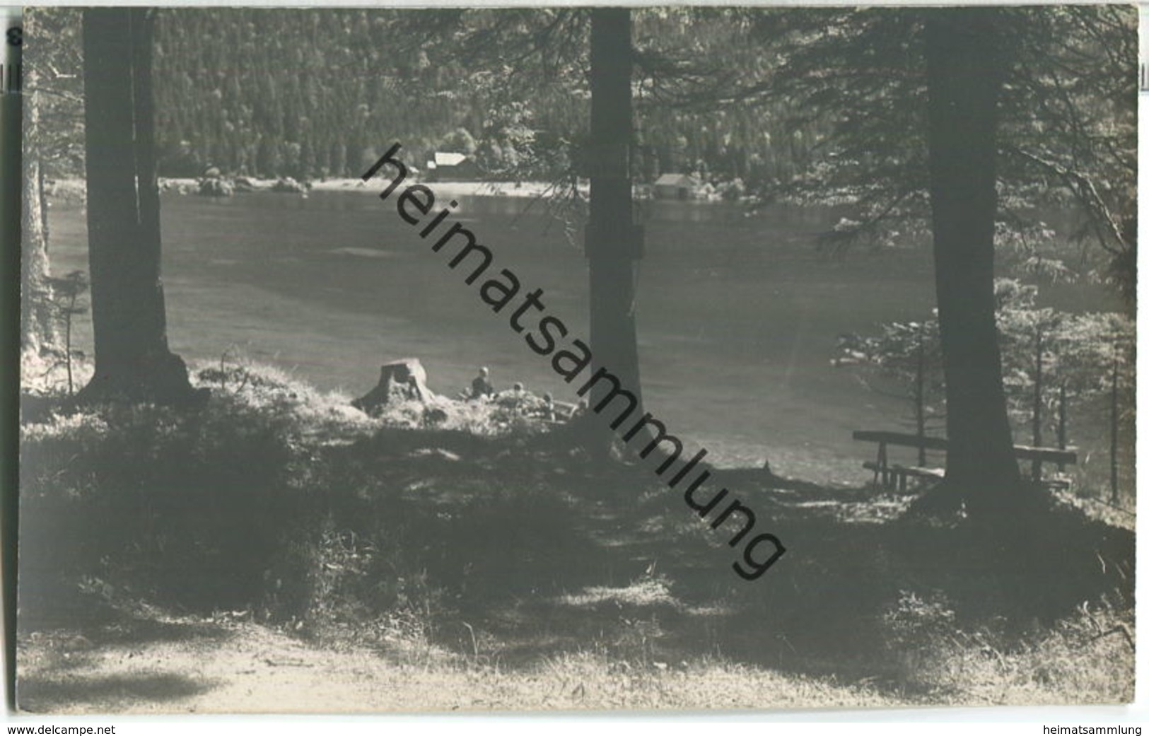 Altaussee - Seewiese - Foto-Ansichtskarte 20er Jahre - Verlag Jos. Kain Mitterndorf - Autres & Non Classés