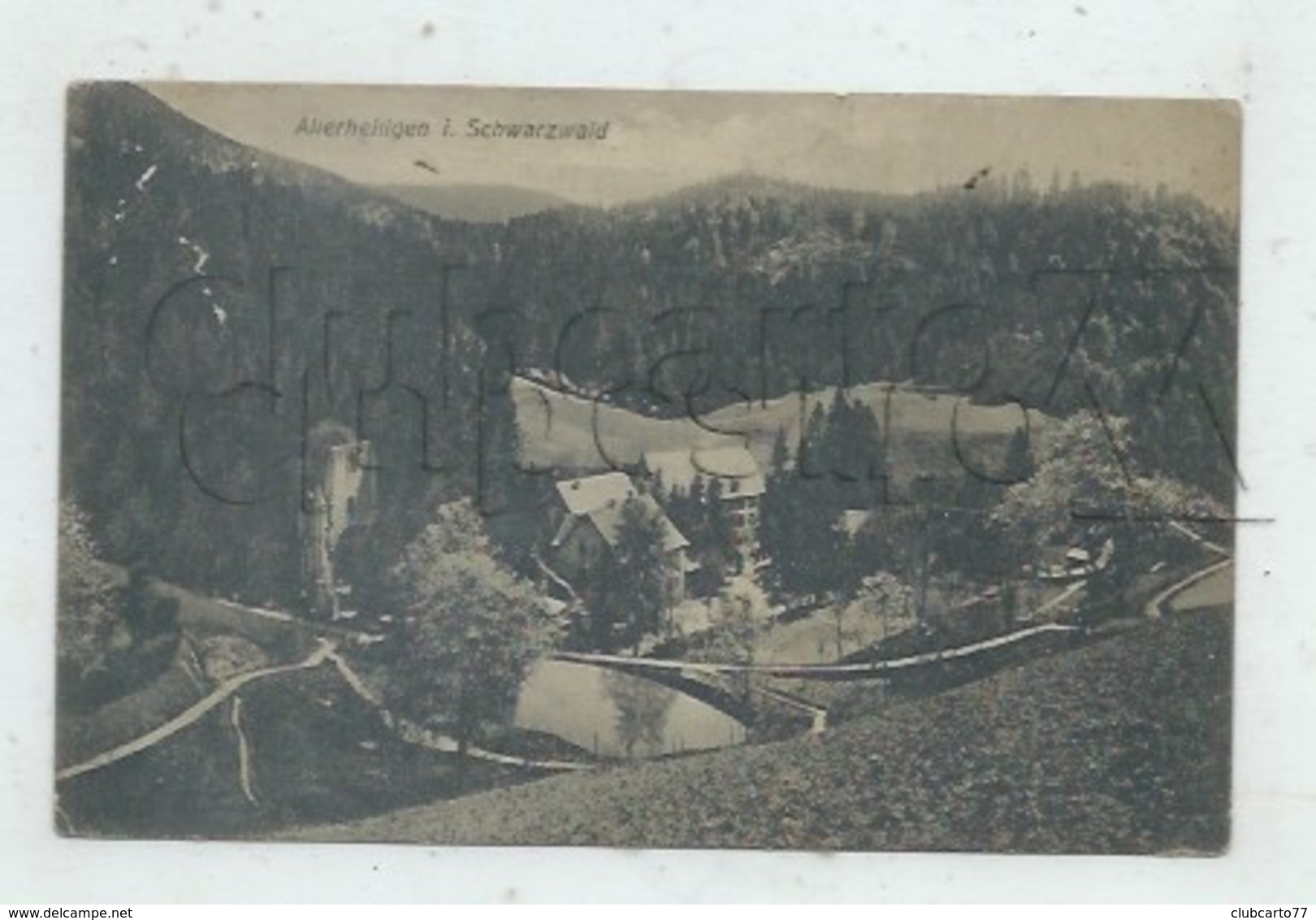 Oppenau (Allemagne, Bad-Wurtemberg) : Blick Général Auf Dem Allerheiligen Im 1905 PF. - Oppenau
