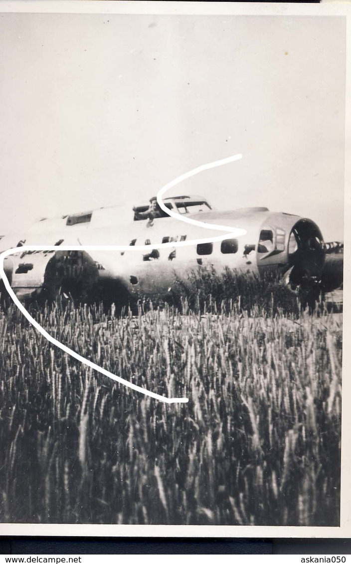 8 USAAF Aviation Américaine 2e Guerre Bombardier B-17 Posé En 44 En Belgique. Repro. - 1939-45