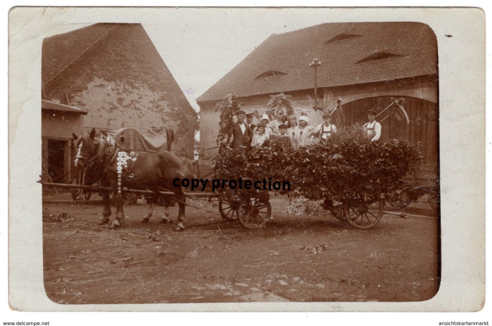 Pferde Kutsche, Erntewagen 1931, Beschriftet Körbitz, Krbice (?), Alte Foto Postkarte - Tsjechië