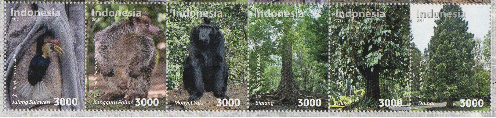 INDONESIA 2018-11 FLORA FAUNA HORNBILL BIRD KANGAROO MONKEY FOREST SET STAMPS MNH - Indonesia