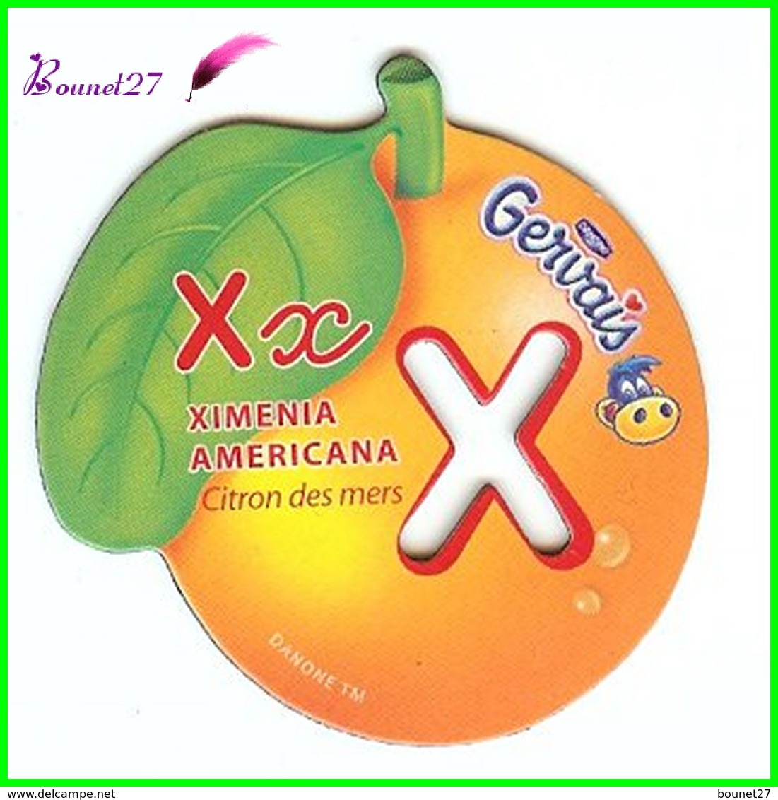 Magnet Pochoir GERVAIS L'Alphabet Avec Les Fruits Et Les Légumes " Le X De Ximenia Americana " Citron Des Mers - Letters & Digits