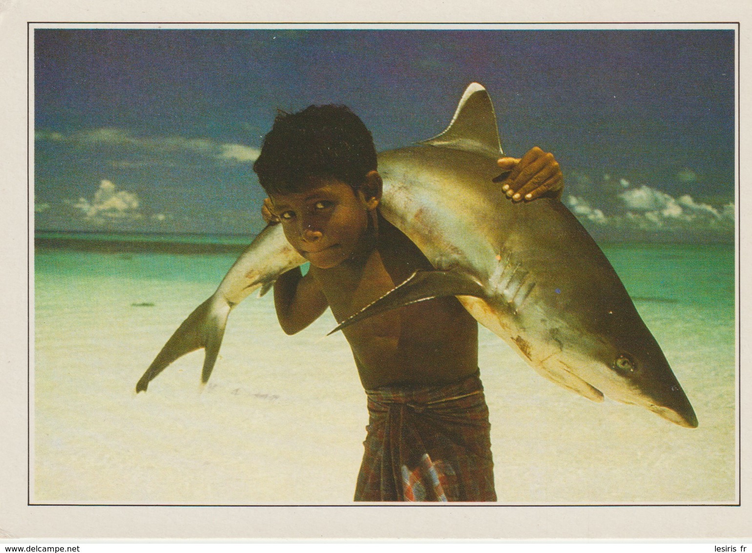 CP - PHOTO - MALEDIVEN XV - THE MALDIVES - WHITE TIPPED SHARK CARRIED BY A YOUNG CHILD - EDITO SERVICE - 1989 - 1990 - Maldiven