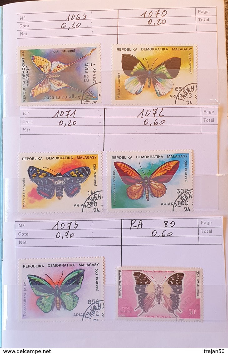 Lot De 2 Carnets à Choix Thème Papillons - Papillons