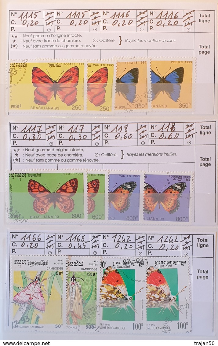 Lot de 2 carnets à choix thème papillons
