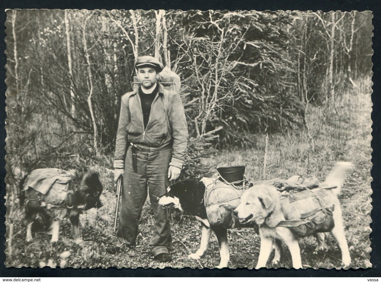 CANADA - YUKON  - Avec Ses Chiens Batés Eux Aussi  Le Missionnaires Du YUKON S' Aventure Dans La Forêt . - Yukon