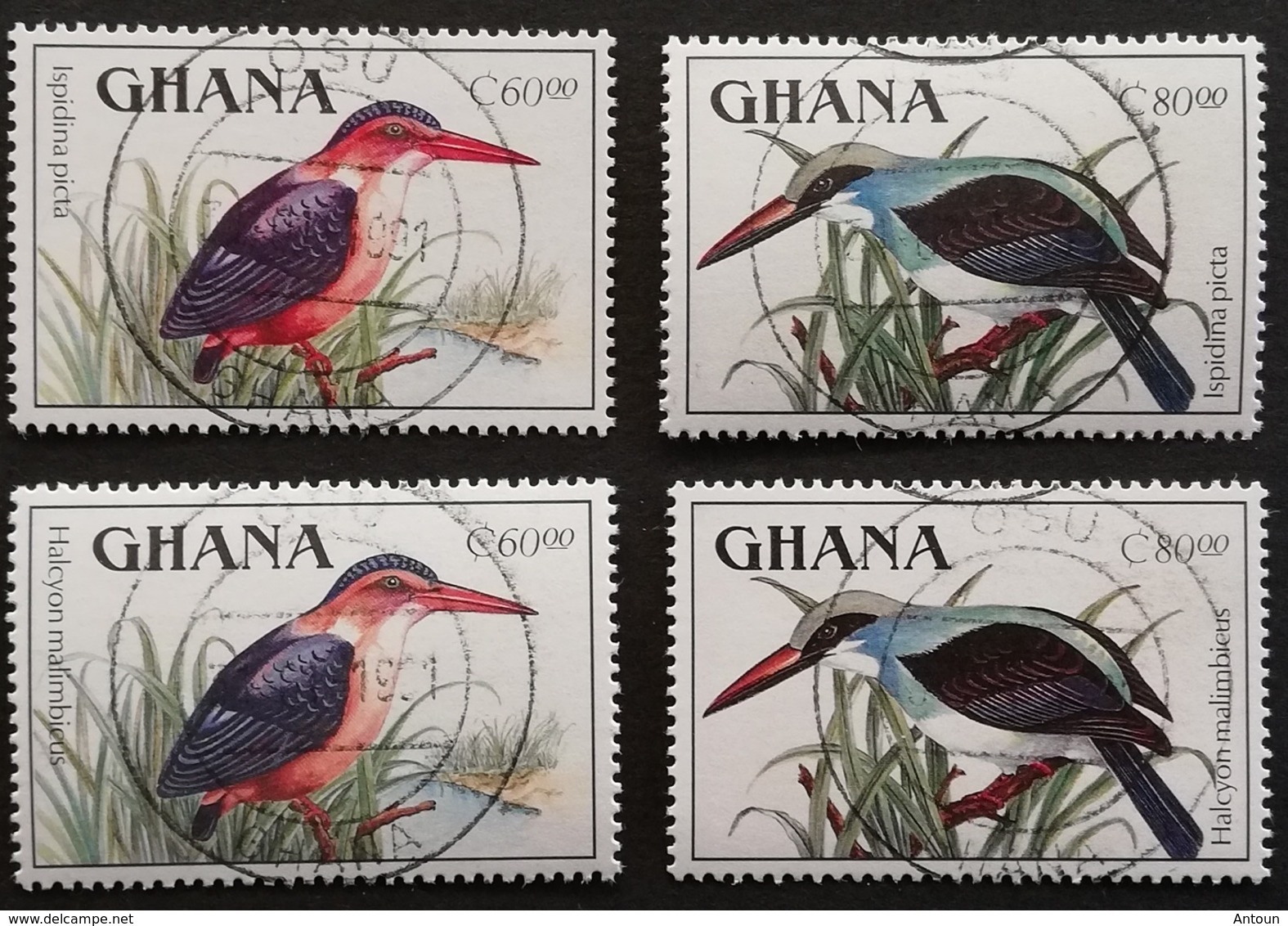 Ghana 1989 Birds The Original Printing Of 60c And 80c The Latin Names Transposed Corrected And Supplied In 1990 USED - Ghana (1957-...)