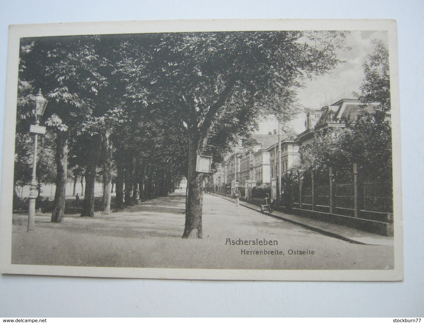 ASCHESLEBEN , Strasse , Schöne Karte Um 1927 - Aschersleben