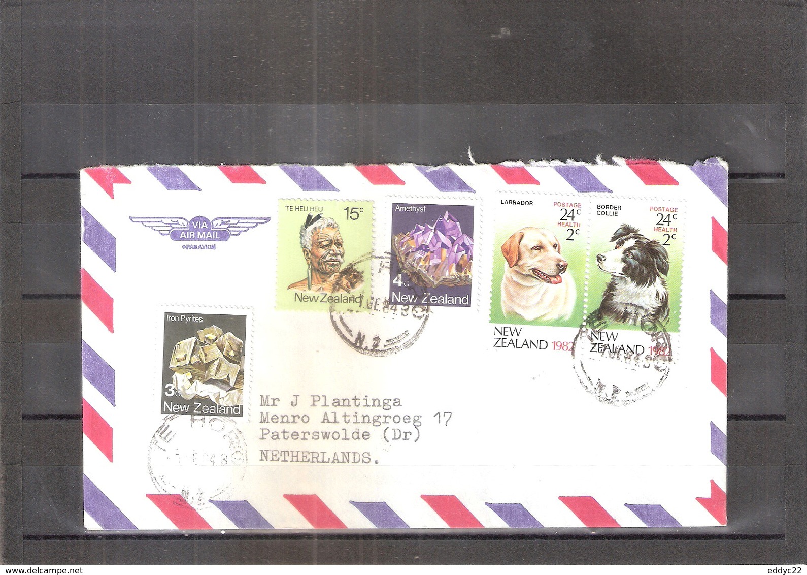 Cover From New Zealand To Netherlands - 1984 - Dogs (to See) - Lettres & Documents