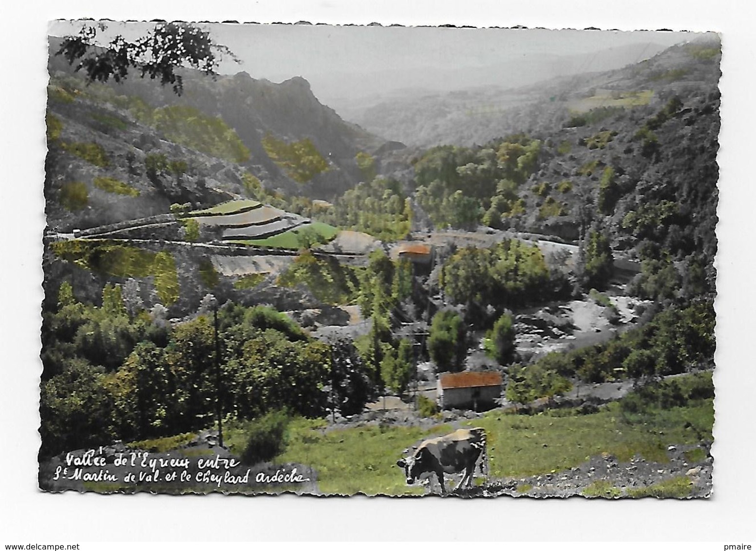 CPSM 07 Vallée De L' Eyrieux Entre St Martin De Val Et Le Cheylard - Saint Martin De Valamas