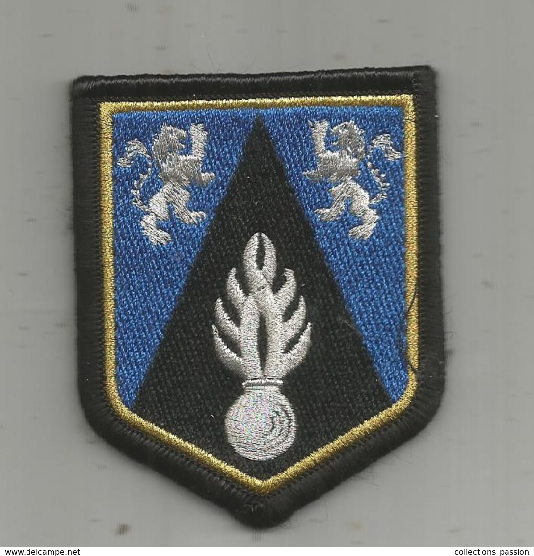 Blason, GENDARMERIE NATIONALE ,  Agrée DGGN , Scratch, 2 Scans - Polizia