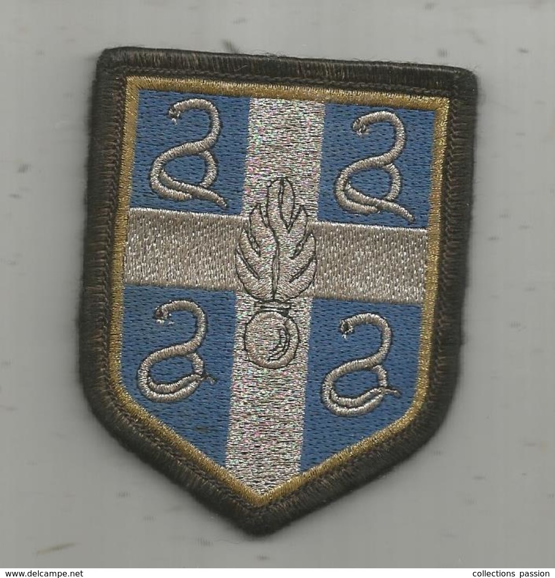 Blason, GENDARMERIE NATIONALE ,  Agrée DGGN , Scratch, 2 Scans - Policia