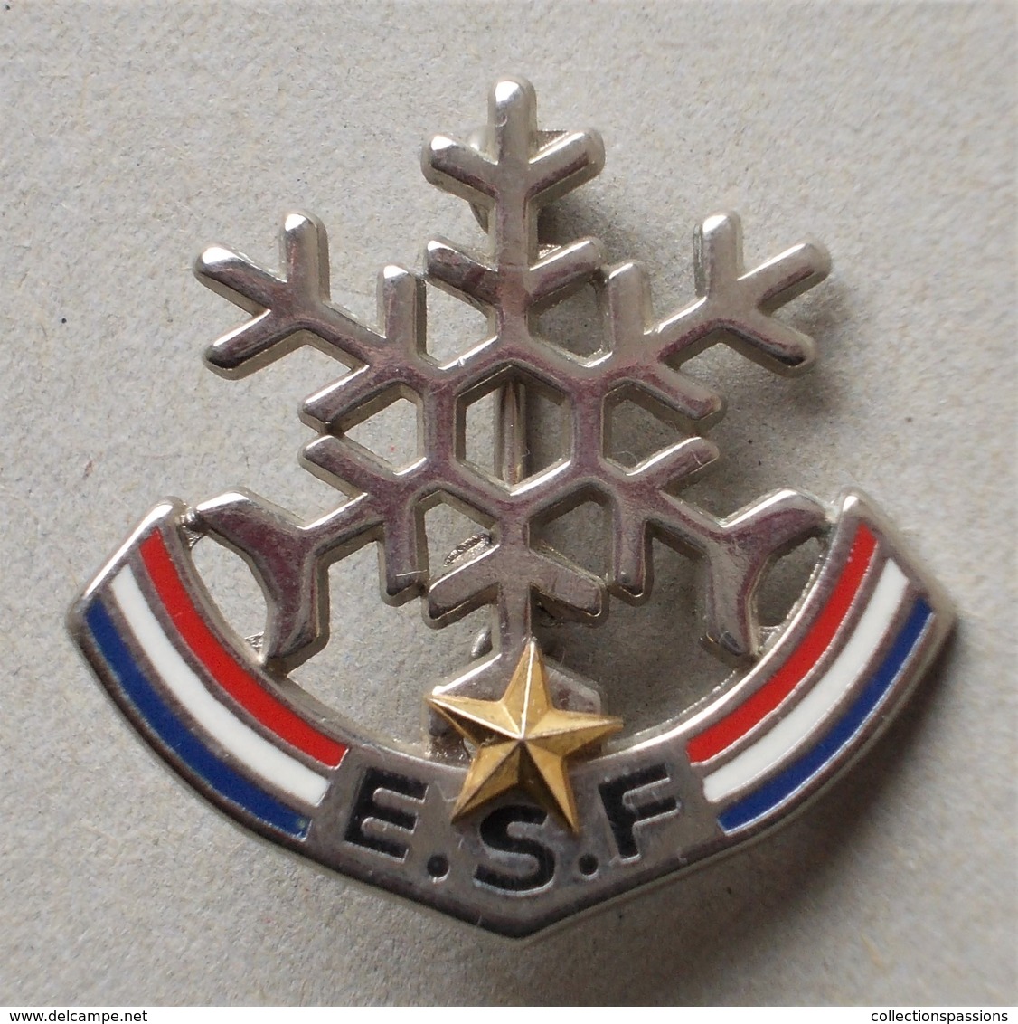 - Broche. Insigne. Ski. ESF - 1 étoile - - Wintersport