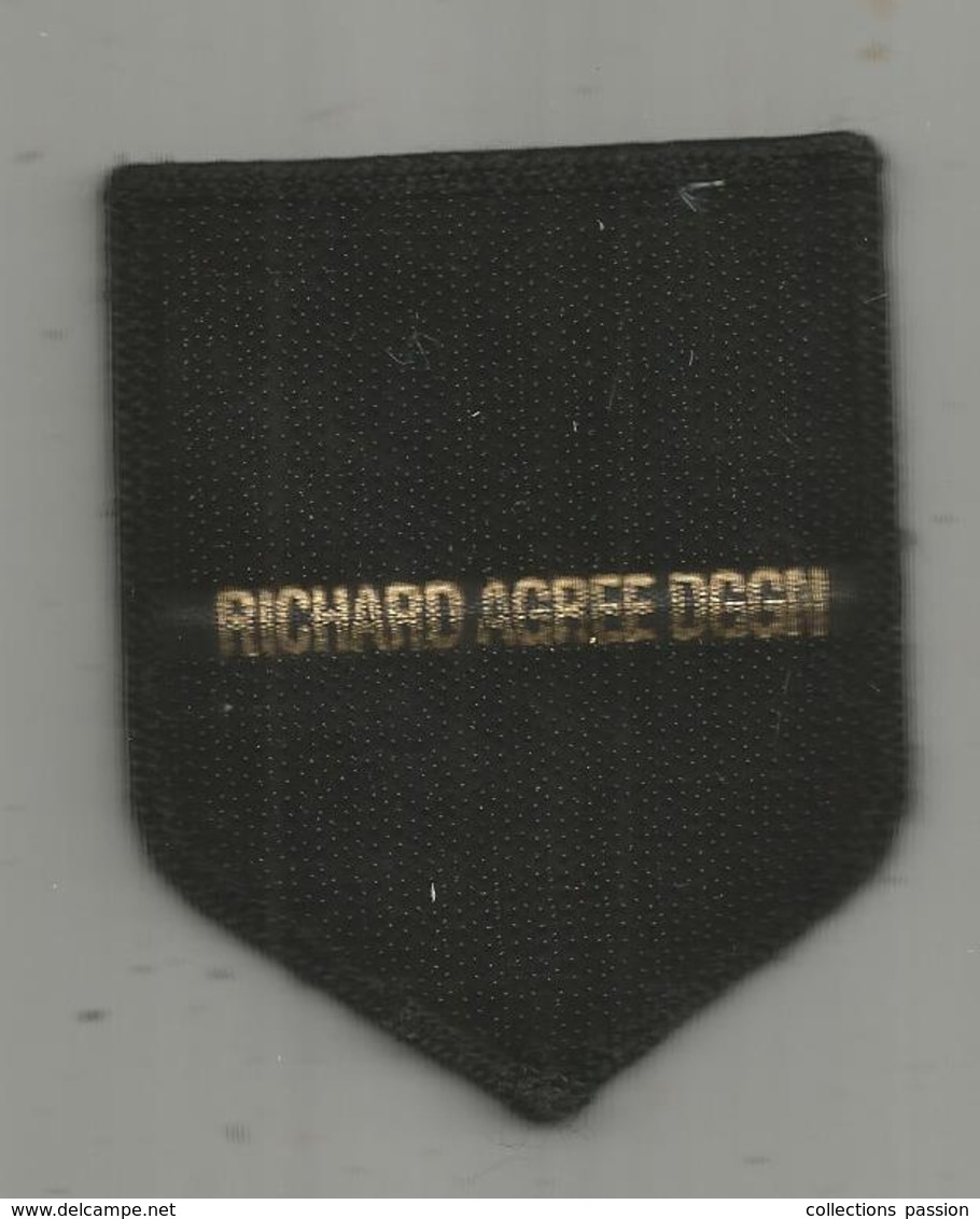 Blason, GENDARMERIE NATIONALE ,  RICHARD Agrée DGGN , Scratch, 2 Scans - Polizia