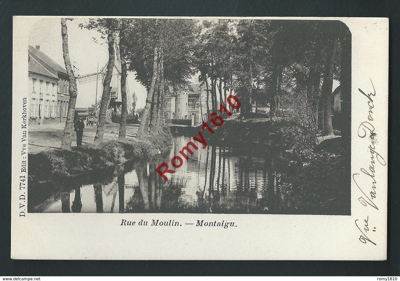 Montaigu.  Scherpenheuvel-Zichem. Rue Du Moulin. D.V.D. N°7741. 2 Scans. - Scherpenheuvel-Zichem