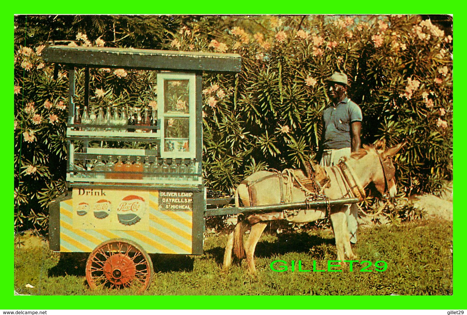 BARBADOS - NATIVE DRINK SELLER - TRAVEL IN 1964 - DEXTER PRESS INC - - Barbades