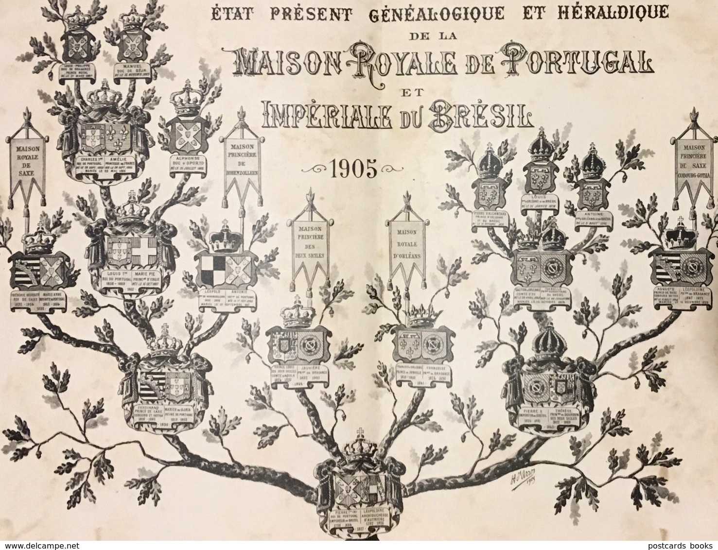 Gravura ARVORE GENEALOGICA Casa Real PORTUGAL E Imperial BRASIL. Old Print France BENDER D'ARROZ 1905 - Documents Historiques