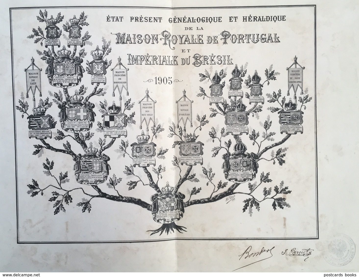 Gravura ARVORE GENEALOGICA Casa Real PORTUGAL e Imperial BRASIL. Old Print France BENDER d'ARROZ 1905