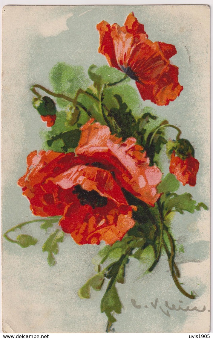 C.Klein.Flowers.GOM Edition Nr.3163 - Klein, Catharina