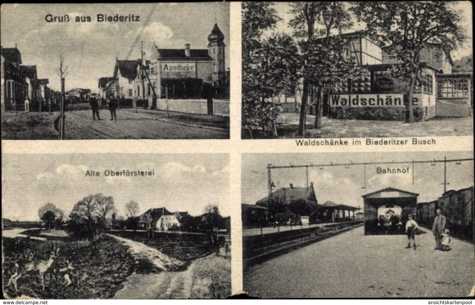 Cp Biederitz In Saxe Anhalt, Alte Oberförsterei, Bahnhof, Waldschänke Im Biederitzer Busch - Sonstige & Ohne Zuordnung