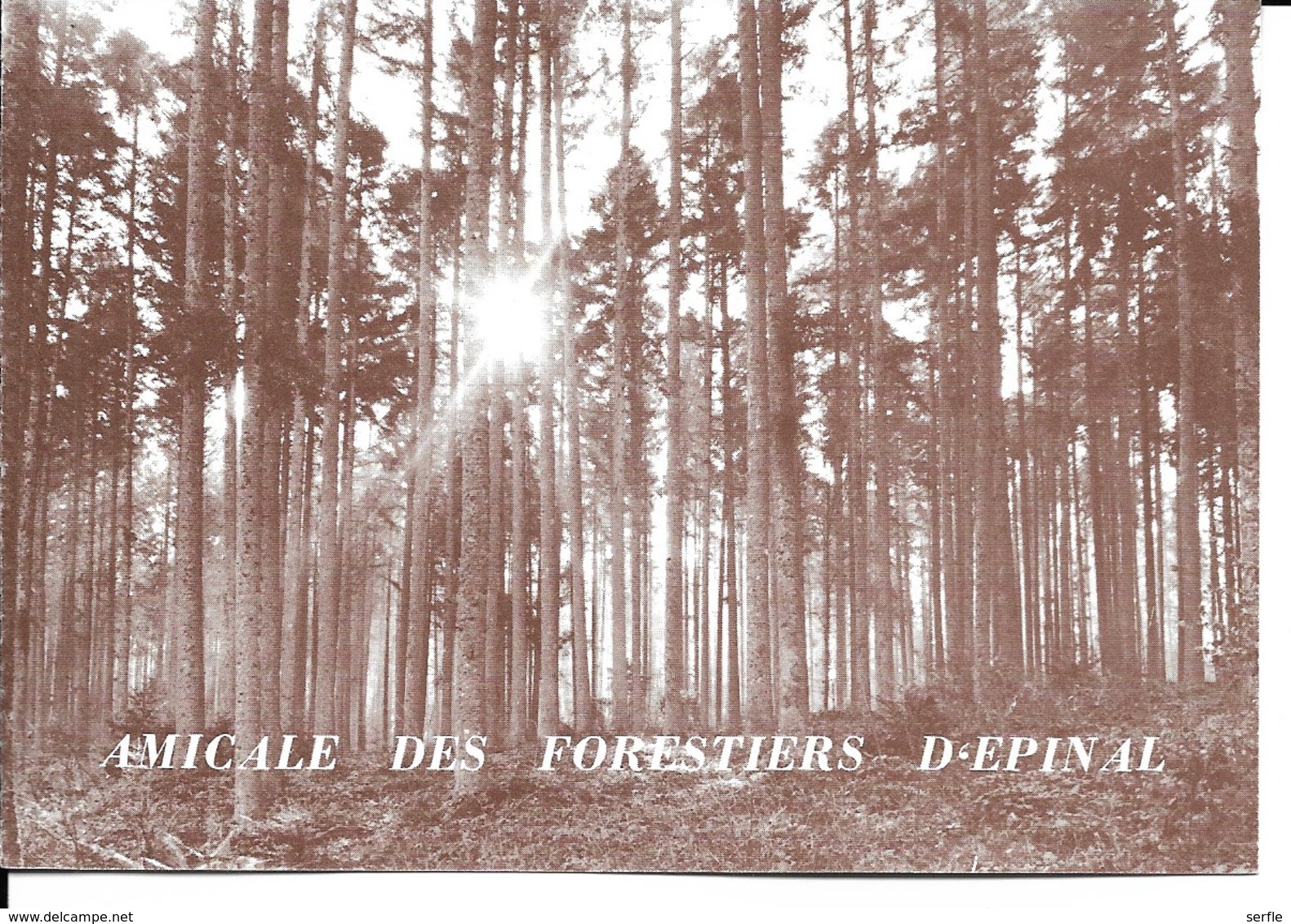 88 - Epinal - Amicale Des Forestiers - Invitation Soirée Dansante - Epinal