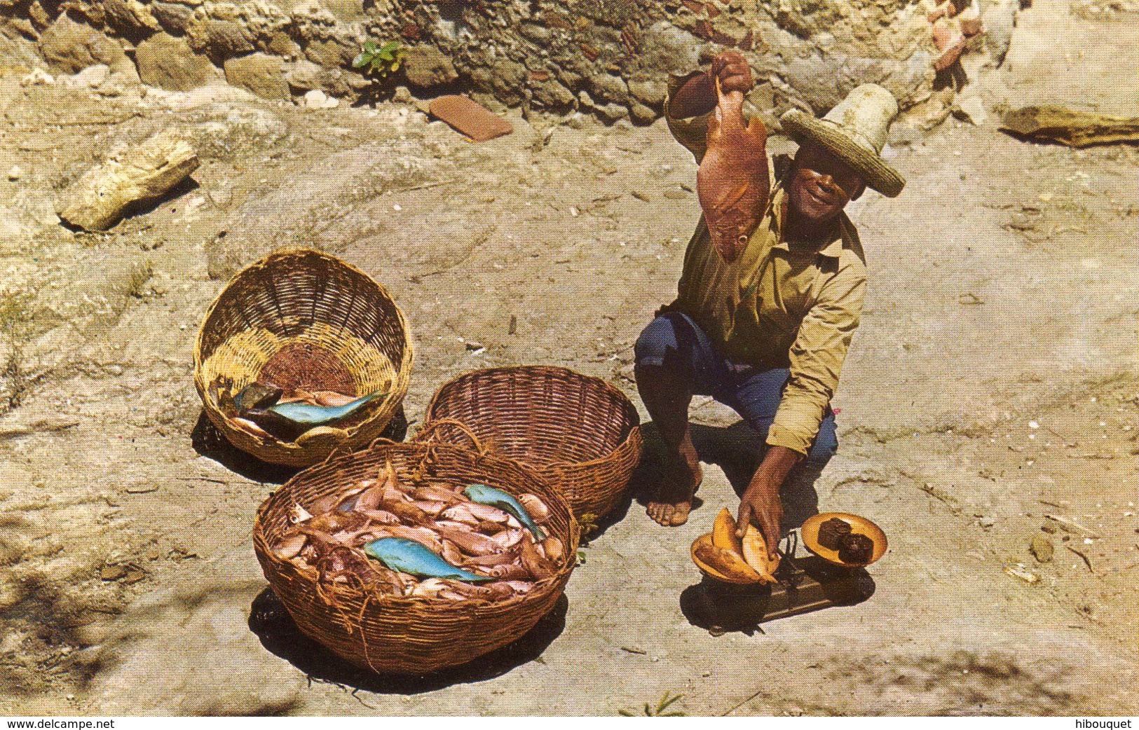 CPSM, Martinique, Pêcheur De La Caravelle (Trinité), A Fisherman Of La Caravelle, Pêcheur Pesantses Poissons - La Trinite