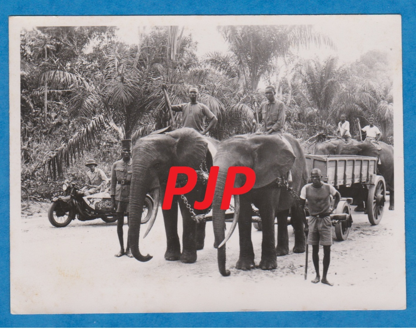 Photo - Afrique - Congo - 1950 - Sydecar - Garde Civil - éléphants - Brrrrrrr - Afrika