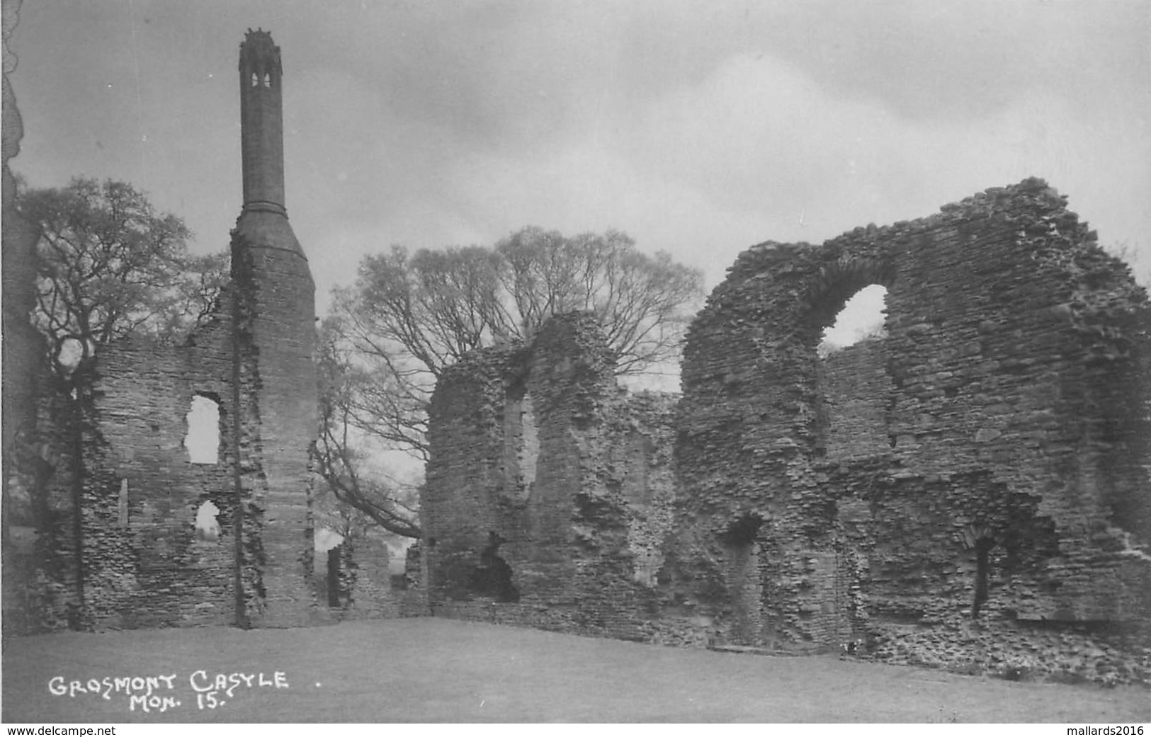 GROSMONT CASTLE ~ AN OLD PHOTO POSTCARD #88166 - Monmouthshire