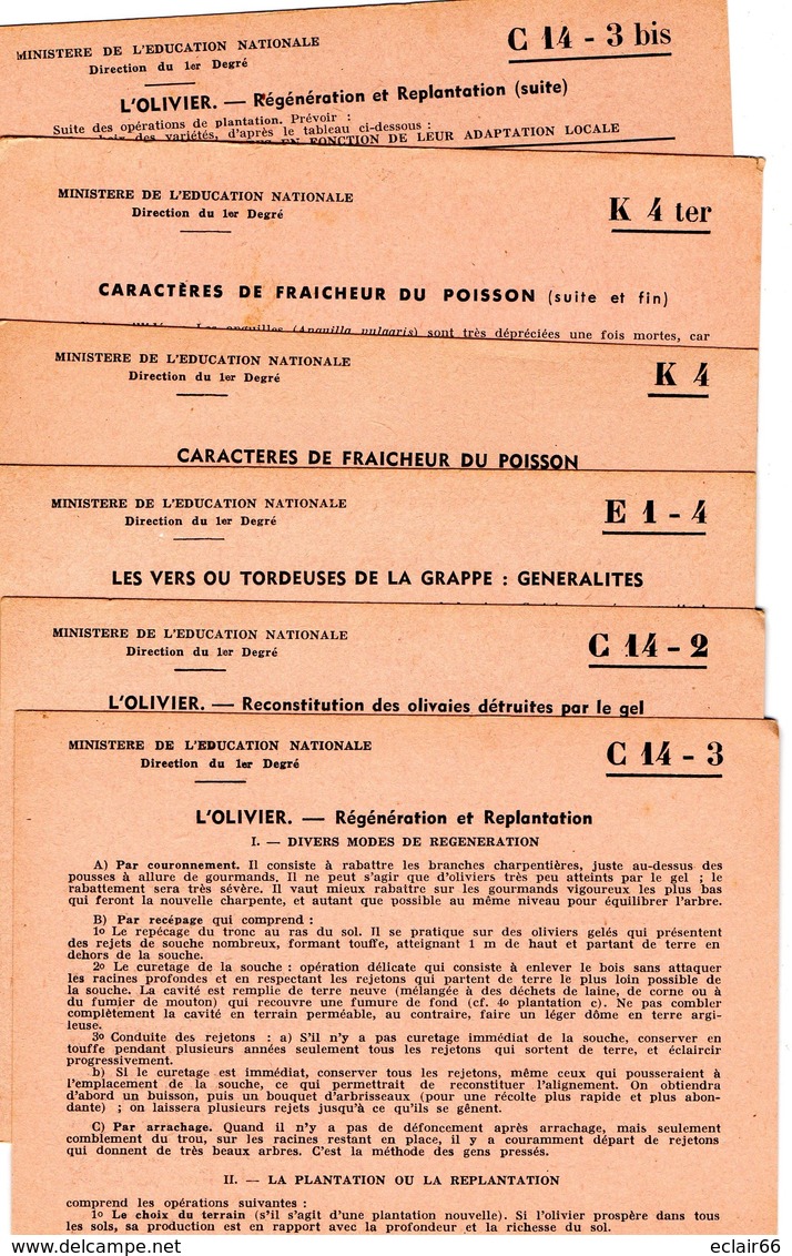 26 Fiches MINISTERE EDUCATION NATIONAL  Centre De Documentation Pédagogique  De Caen Année 1956- 1957 Impeccable Scannes - Fichas Didácticas