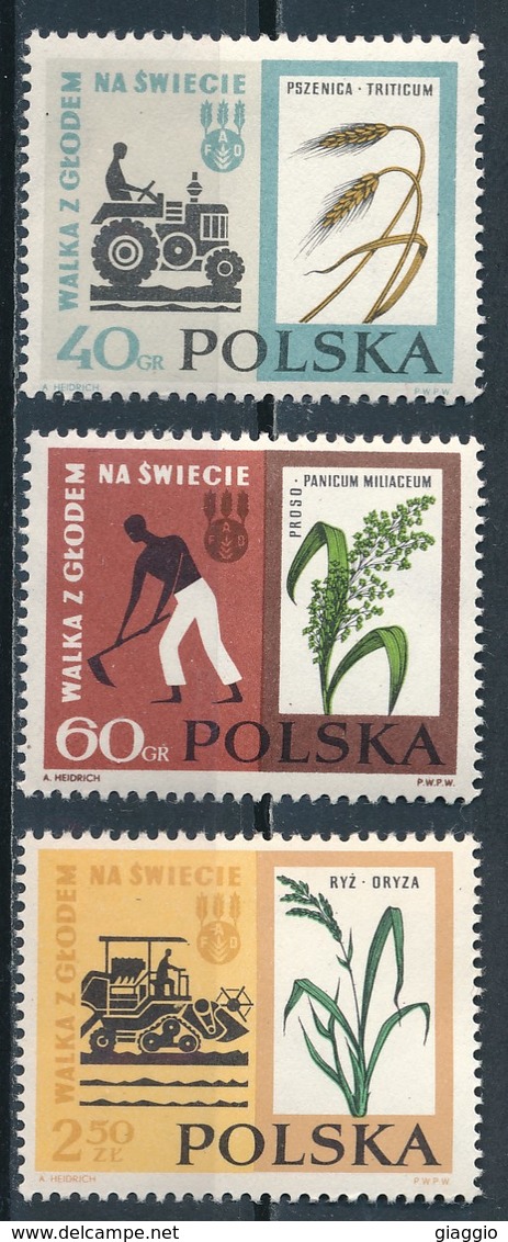 °°° POLONIA POLAND - Y&T N°1229/31 - 1963 MNH °°° - Nuovi