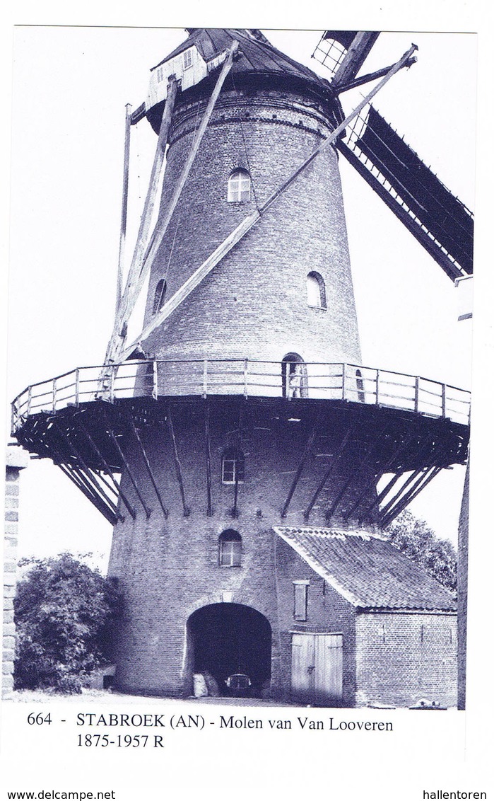 Stabroek: Molen Van Van Looveren ( 2 Scans) - Stabrök