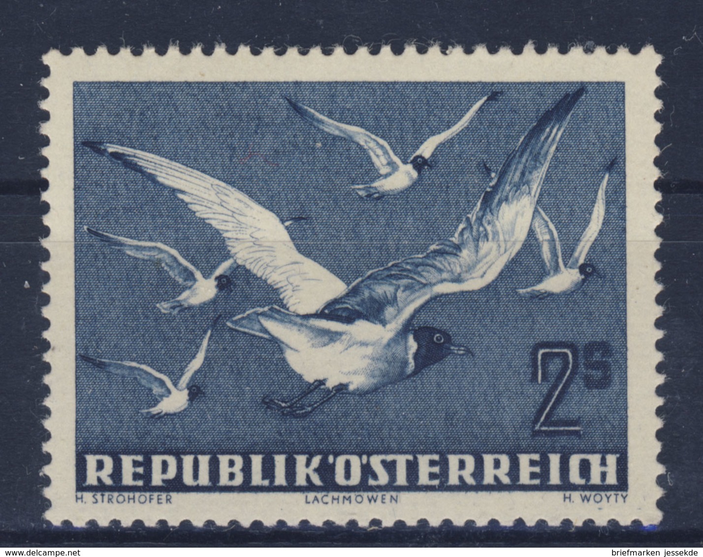 Österreich Michel No. 956 ** Postfrisch - Neufs