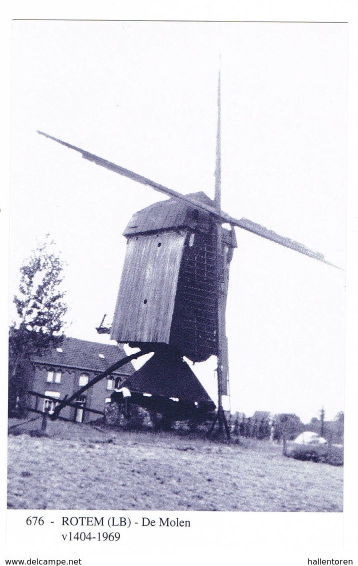 Rotem: De Molen ( 2 Scans) - Peer