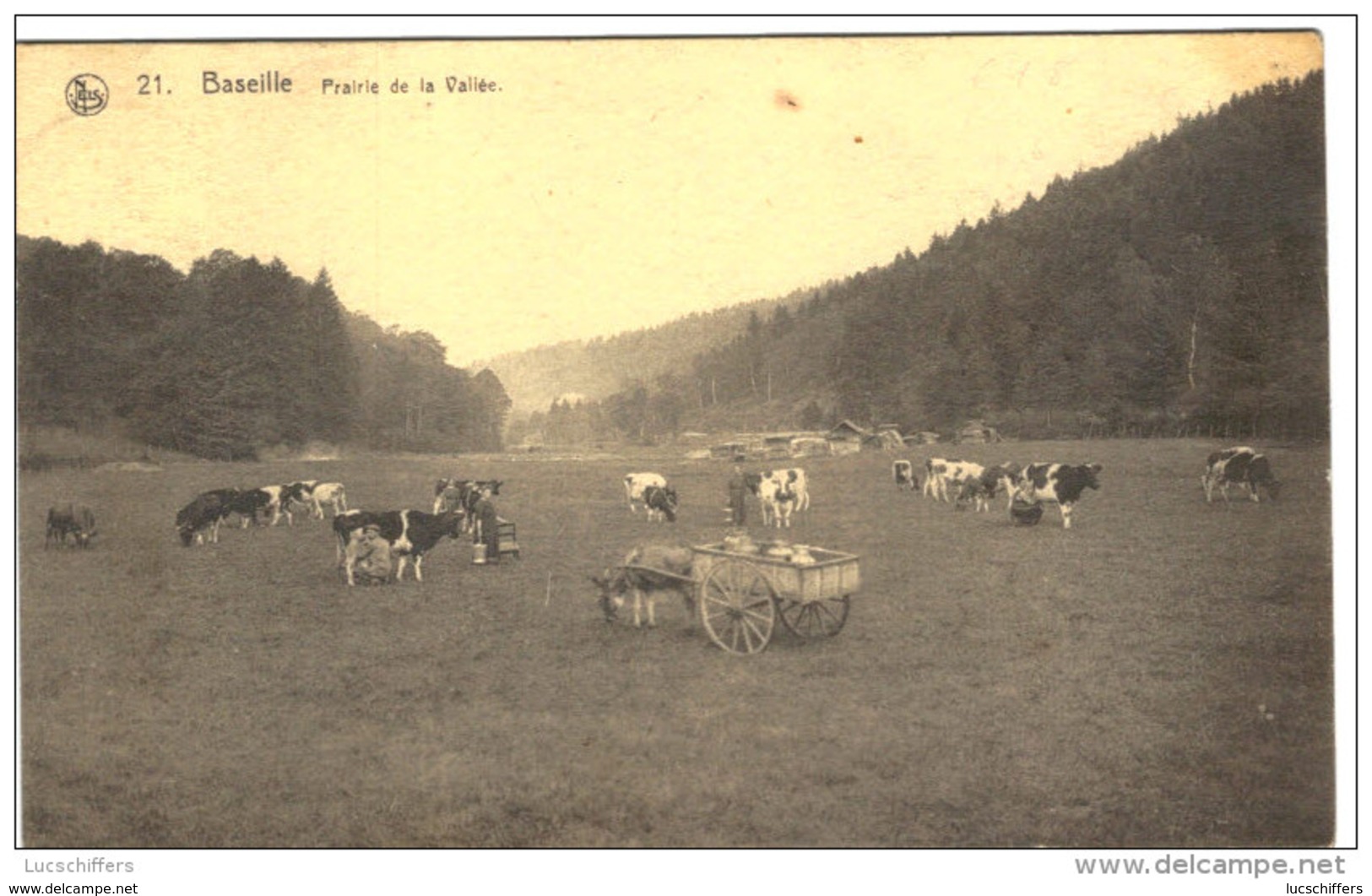 Sainte-Ode - Baseille - Prairie De La Vallée - Attelage Avec âne - Nels - 2 Scans - Sainte-Ode