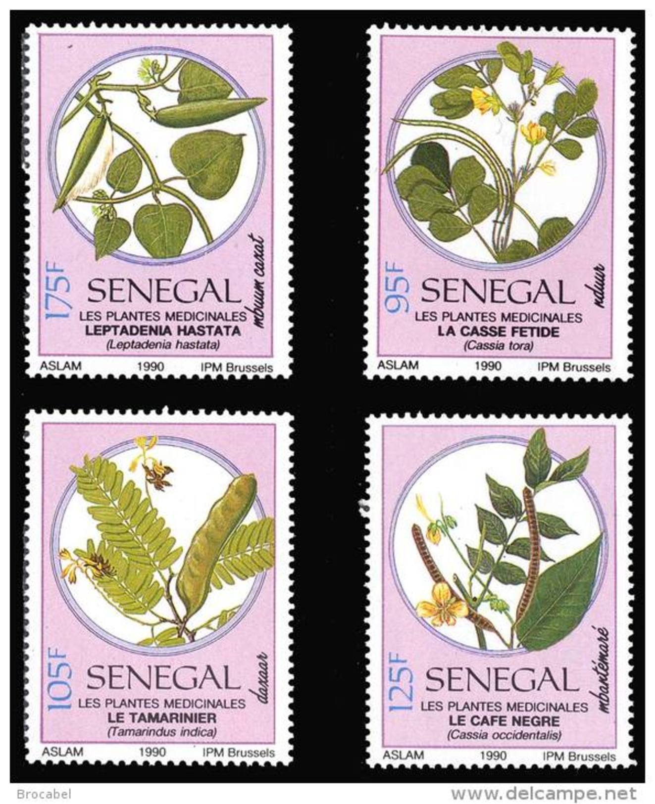 Senegal 0877/80** -  Plantes Médicinales  MNH - Sénégal (1960-...)