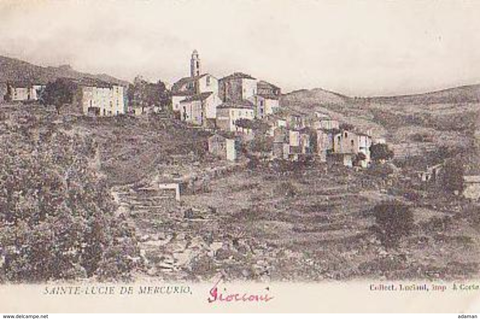 Corse        143       Sainte Lucie De Mercurio ( Vue Générale ) - Sonstige & Ohne Zuordnung