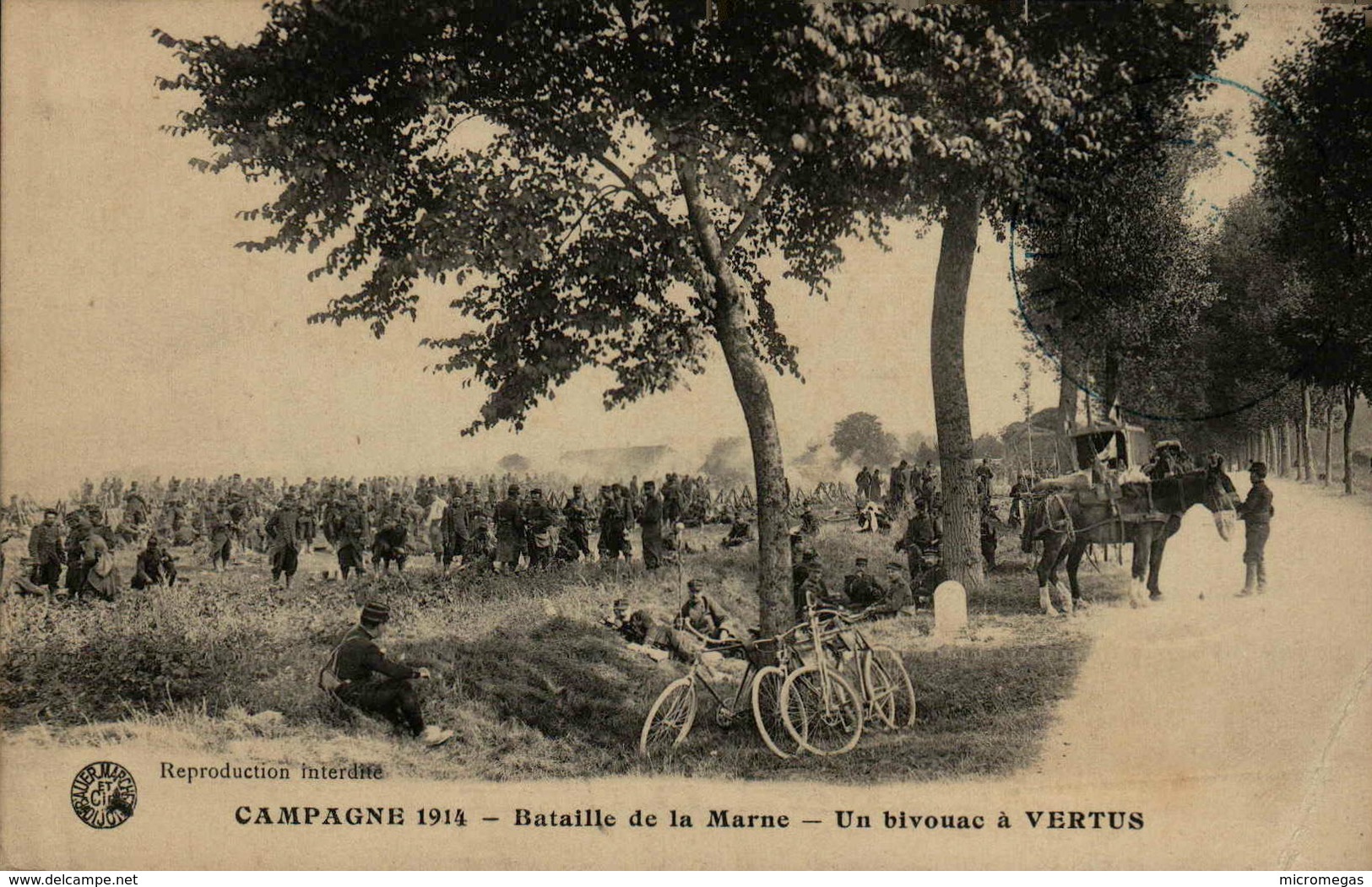 Campagne 1914 - Bataille De La Marne - Un Bivouac à VERTUS - Guerre 1914-18