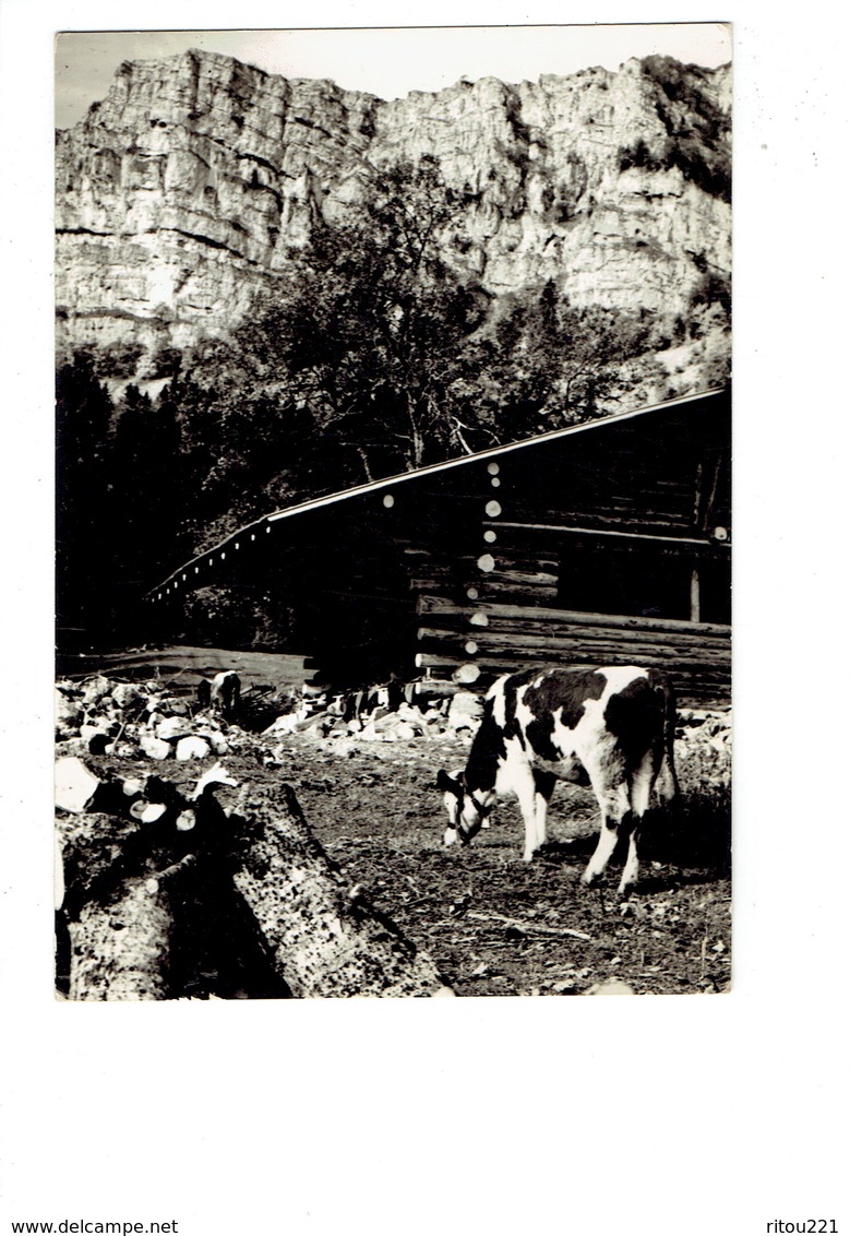 Cpm - 25 - Paysage Du Haut-Doubs - Le MONT D'OR Vache Cloche Chalet  - Photo STAINACRE PONTARLIER - 1965 - Autres & Non Classés