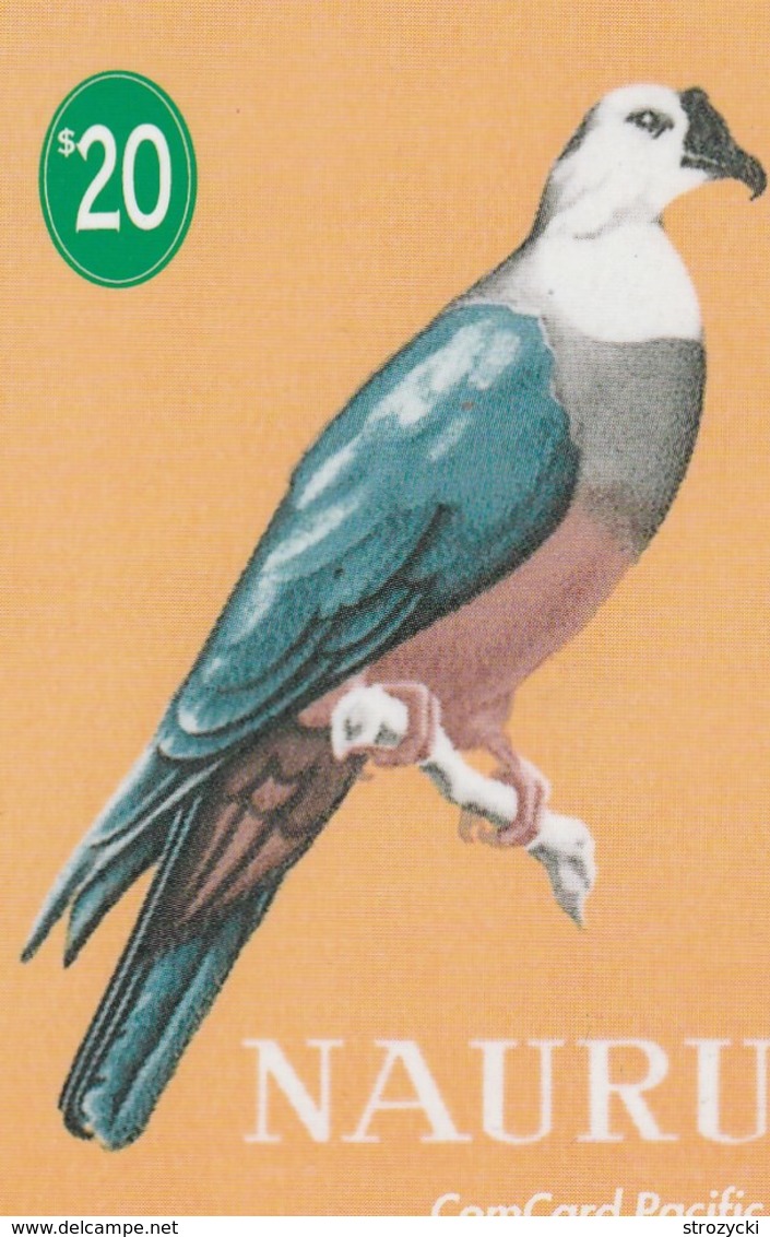 Nauru - Mikronesian Pigeon - Nauru