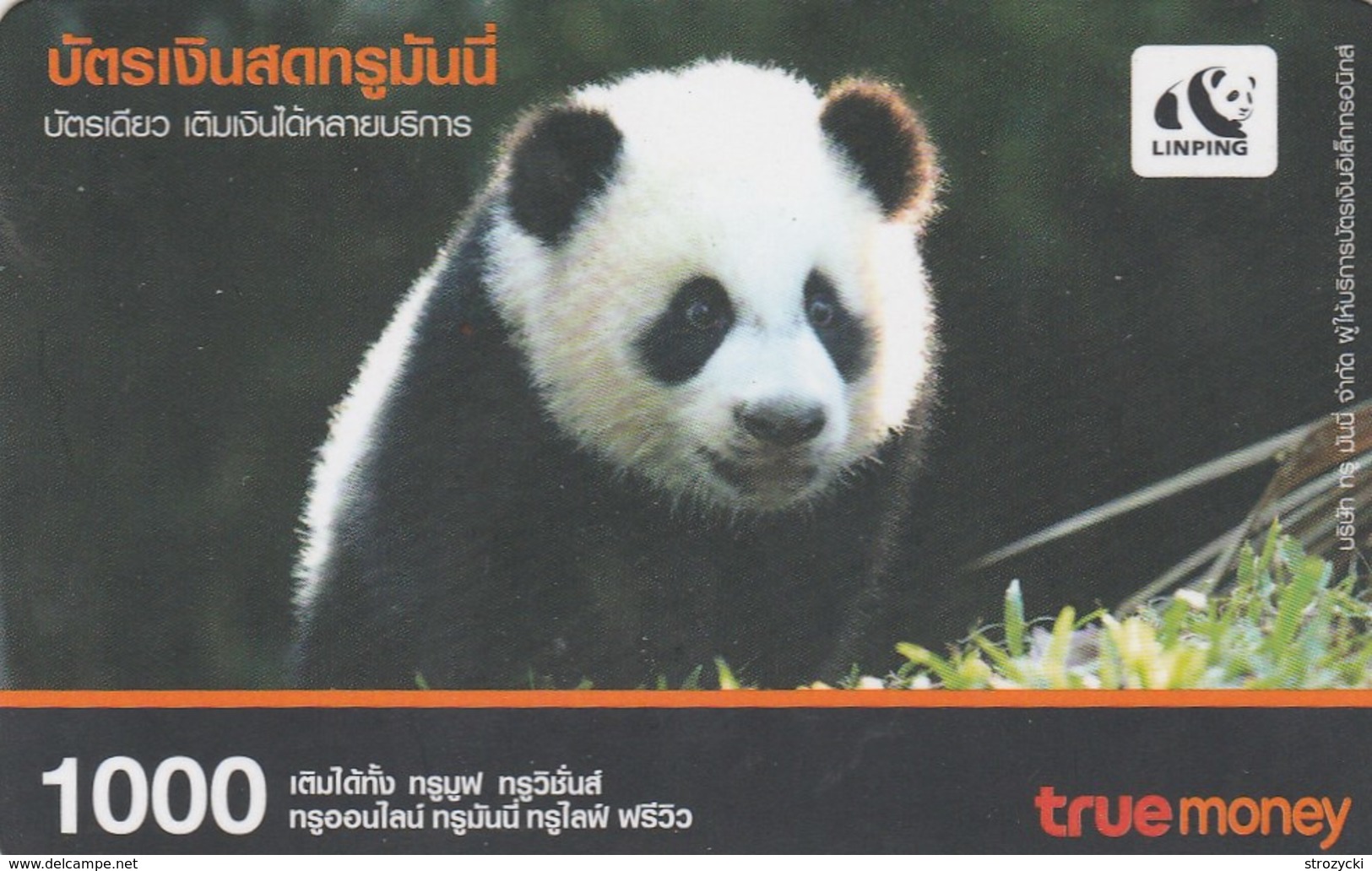 Thailand - Panda - Thailand