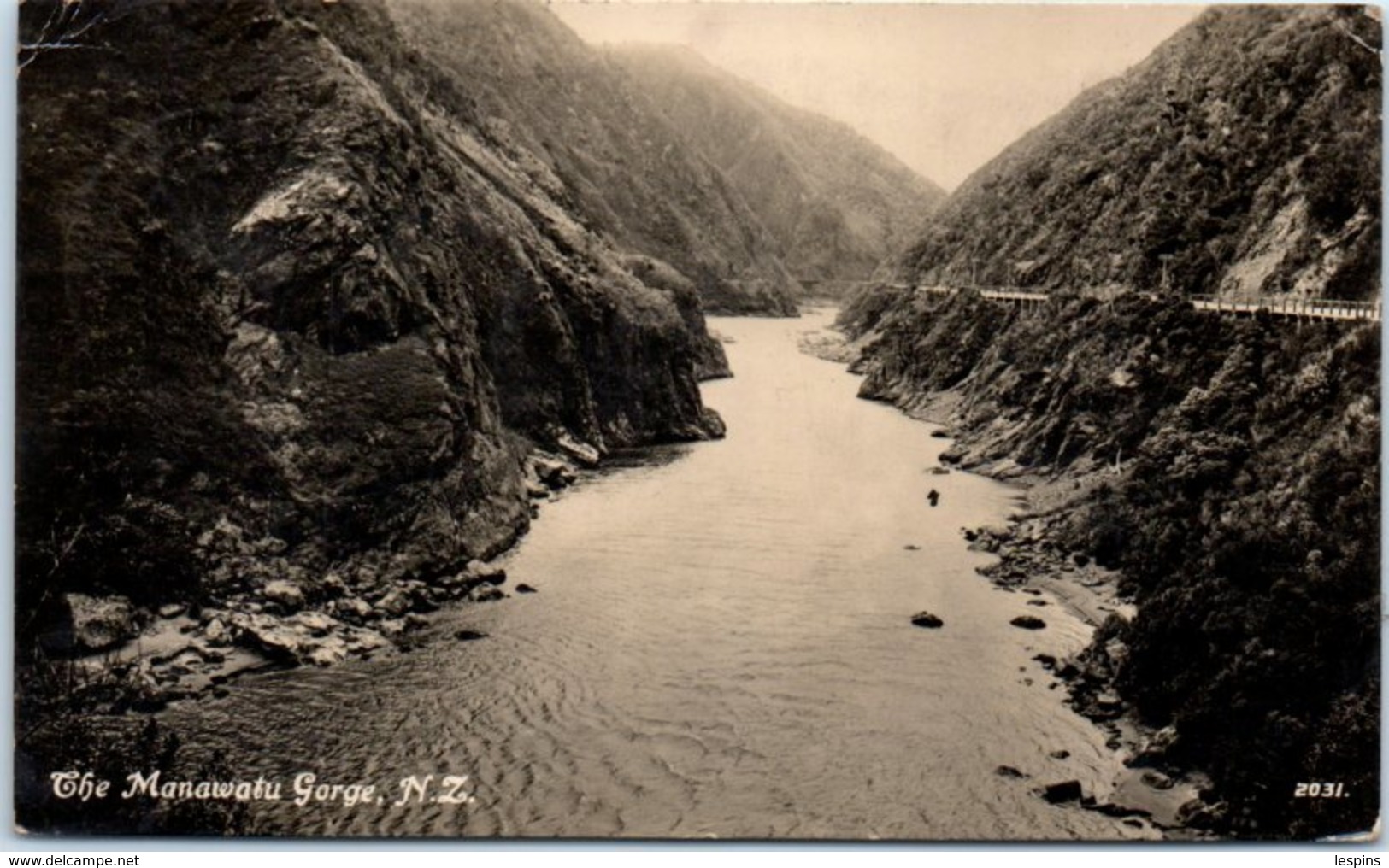 OCEANIE --  Nouvelle Zelande - The Manawatu Gorge - Nouvelle-Zélande