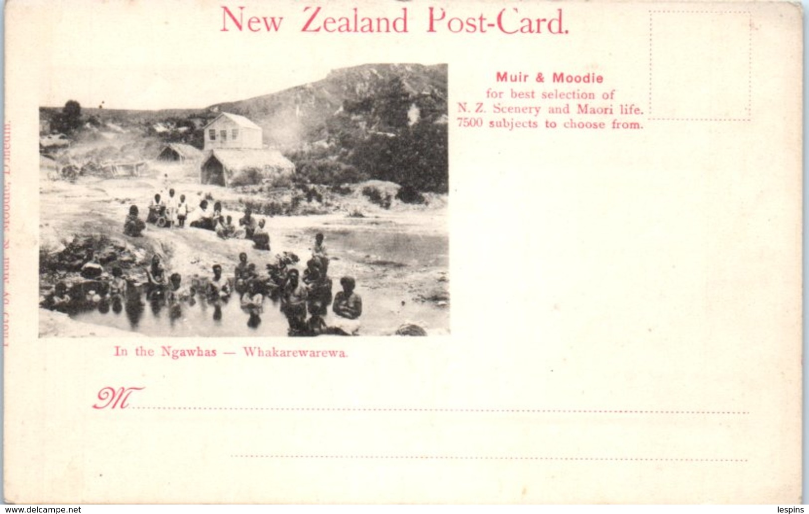 OCEANIE --  Nouvelle Zelande - In The Ngawbas - Nieuw-Zeeland